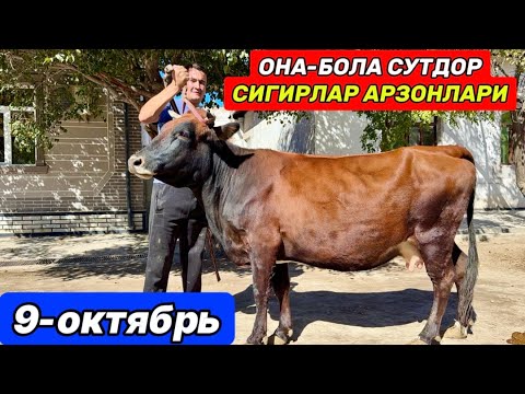 Видео: ОНА-БОЛА СУТДОР СИГИРЛАР ЗЎРЛАРИ Хонқа Бобурбек  9-октября 2025 г.