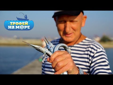 Видео: Трофей на море. 6 серия. Сарган
