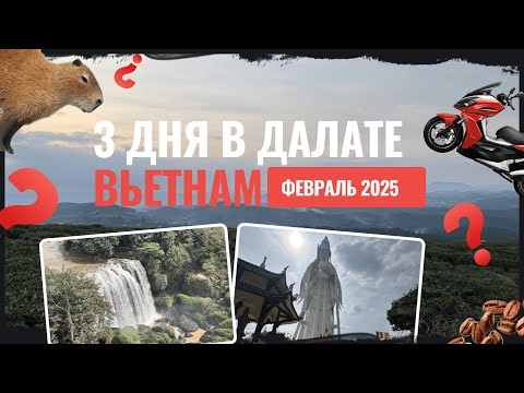 Видео: В Далат из Нячанга, Вьетнам. Гайд по Далату. Февраль 2025.