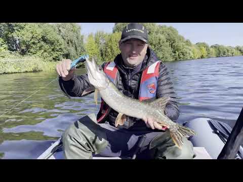 Видео: Осенний спиннинг на МОСКВЕ Реке!