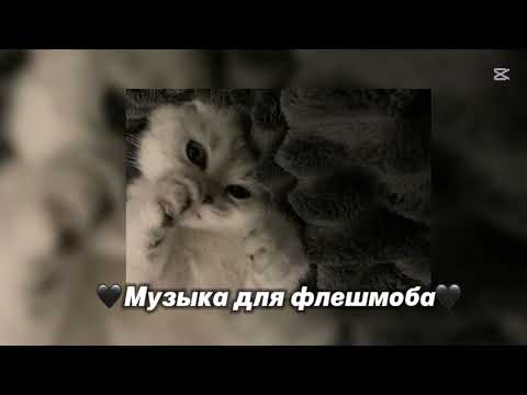 Видео: ||🖤музыка для флешмоба🖤||