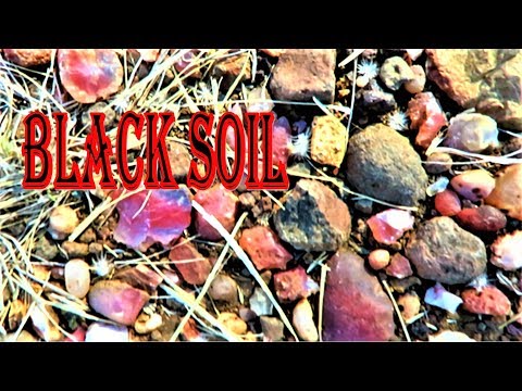 Видео: ВЕЗДЕ АГАТ - Чернозем | Лиз Крейт