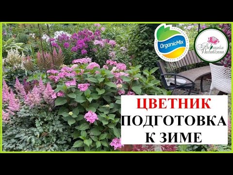 Видео: 4 ВАЖНЫХ ПРАВИЛА ПОДГОТОВКИ ЦВЕТНИКА К ЗИМЕ