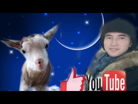 Видео: Козье ферма, крутое видео без слов,