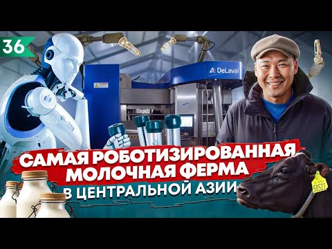 Видео: Ферма будущего: роботы доят коров!
