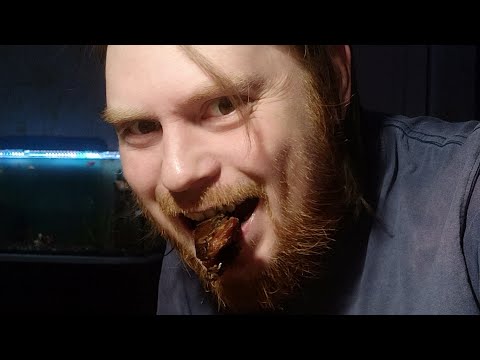 Видео: Ем финики