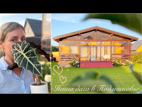 Видео: Мой любимый сад | Создаю красоту на участке | Дачный влог | Ушла с головой в сад и огород