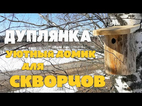 Видео: Как сделать правильный скворечник? Скворечник из пенька. Правильная дуплянка для скворцов.