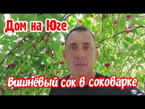 Видео: Дом на Юге. Вишнёвый сок в соковарке. Поспевает ежевика.