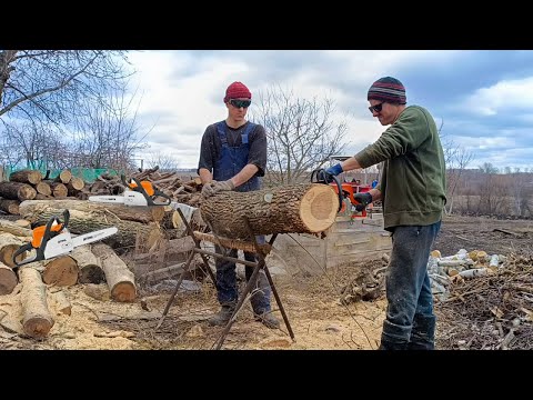 Видео: Большая резня бензопилами STIHL! Пилим дрова на следующую зиму!