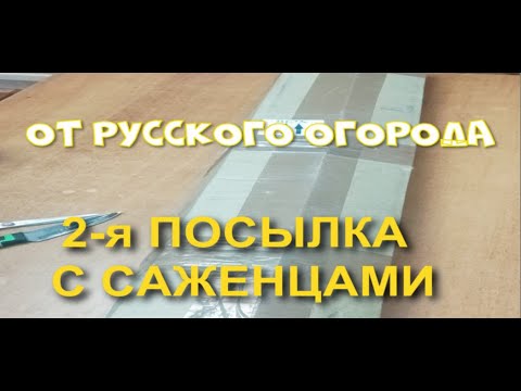 Видео: ОСЕННИЕ САЖЕНЦЫ ОТ "РУССКОГО ОГОРОДА". 2-Я ПОСЫЛКА.