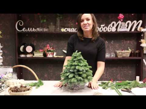 Видео: Мастер-класс: как сделать декоративную елочку?