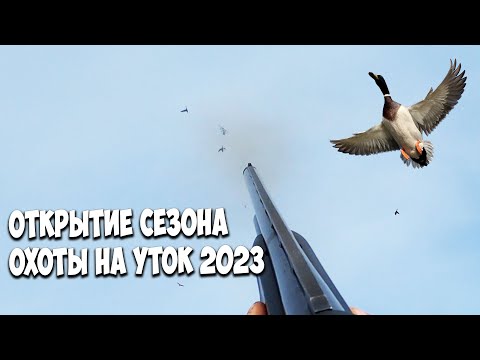 Видео: Открытие сезона охоты на утку и гуся. Весна 2023