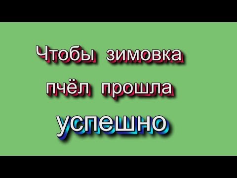 Видео: Чтобы зимовка пчел прошла успешно