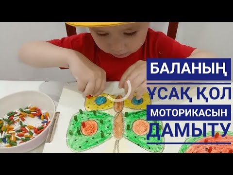 Видео: Дидактикалық ойындар #ойын арқылы баланы дамыту #моторика #дамытушы ойын #развивающие игры для 2лет