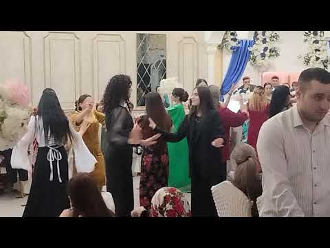 Видео: 11 ноября 2025 г.