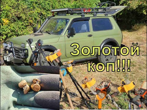 Видео: Золото хуторов! Первый выезд на ниве на поиски кладов с NOKTA Anfibio Multi Фильм 88