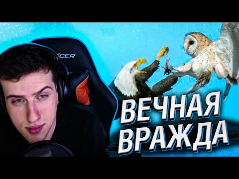 Видео: ОНИ НЕНАВИДЯТ ДРУГ ДРУГА УЖЕ 36 МИЛЛИОНОВ ЛЕТ // РЕАКЦИЯ HELLYEAHPLAY