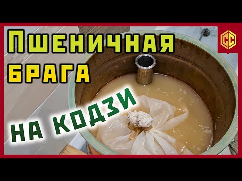 Видео: Брага на пшенице и Китайских кодзи. Самогон из пшеницы