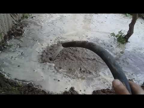 Видео: Обдихи ва гизодихии ангур пеш аз гулкуни.