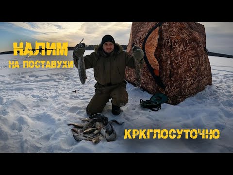 Видео: Ловлю налима под берегом! Старый дедовский метод, р.Кама