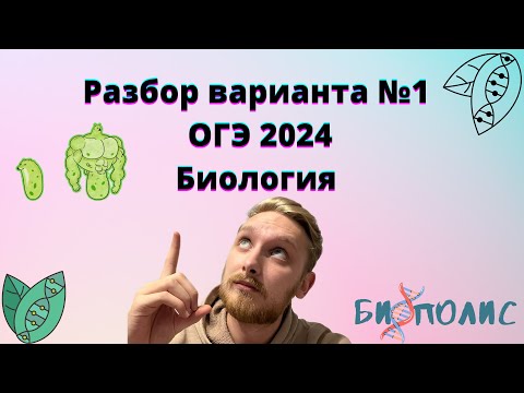 Видео: Разбор Рохлов ОГЭ Биология 2024 1 Вариант