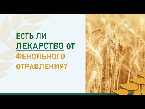 Видео: Есть ли лекарство от фенольного отравления?