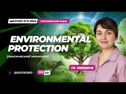 Видео: Environment Protection (лексический минимум)