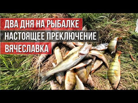 Видео: Два дня на рыбалке - Настоящее приключение - Вячеславское водохранилище - Щука, Окунь, Судак 🎣