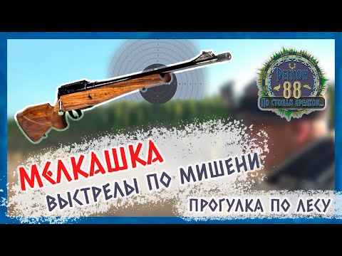 Видео: Регион 88 | МЕЛКАШКА - Первые выстрелы по мишени. Прогулка по лесу