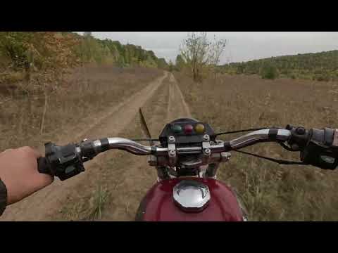 Видео: На Яве по лесам Красивой мечи .