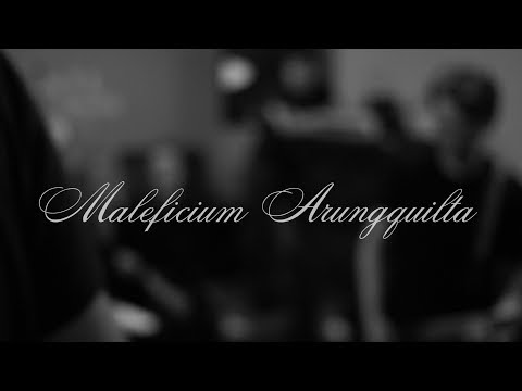 Видео: MALEFICIUM ARUNGQUILTA - Черная полоса