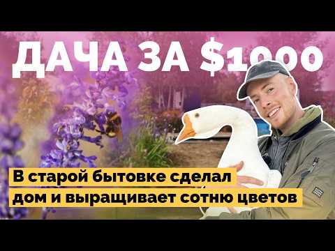 Видео: Построил уютную дачу из старой бытовки и выращивает овощи, цветы и огромные тыквы