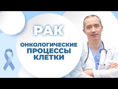 Видео: Рак. Чего стоит бояться? Онкологические процессы клетки