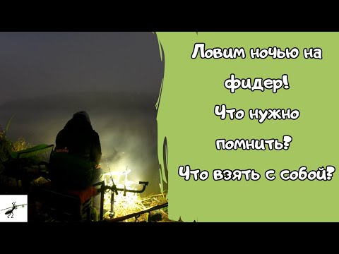 Видео: Как ловить ночью на фидер? Без этих гаджетов не выезжаю на ночную рыбалку!