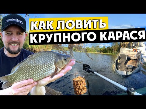 Видео: ДИКИЙ КАРАСЬ на ФИДЕР. Лучшее мясо в казане.