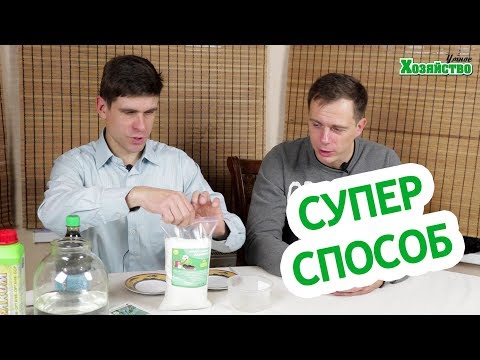 Видео: Супер уникальный способ проращивания семян огурца! Используем гидрогель.