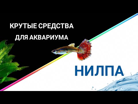 Видео: Для здоровья рыб и аквариума.