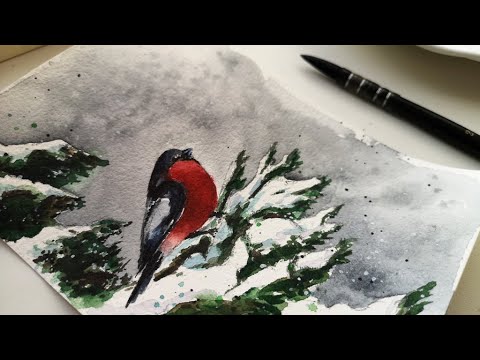 Видео: Рисуй со мной. Снегирь акварелью. Процесс рисования (без ускорения).