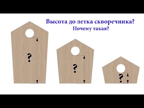 Видео: Какое расстояние до летка в разных типах скворечников? И почему?