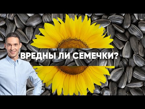Видео: ВРЕДНО ЛИ ЩЕЛКАТЬ СЕМЕЧКИ?