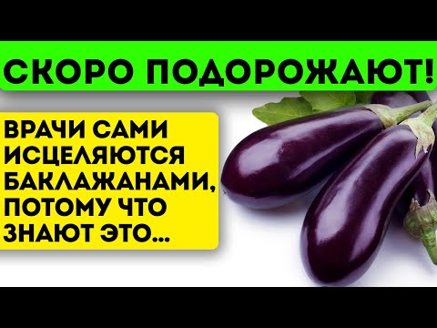 Видео: Зачем запрещают об этом говорить?! Ведь баклажаны исцеляют даже...