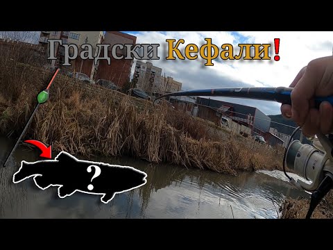 Видео: ТРАГЕДИЯ в Перник! Риболов на КЕФАЛИ в ГРАДА през ЗИМАТА на изтичане с ПЛУВКА! Какво се случи!