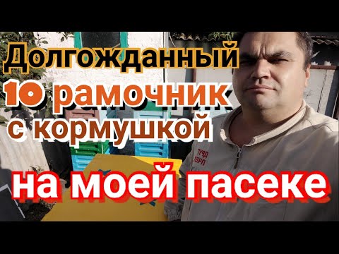 Видео: Улей ППС фирмы Аpix на 10 рамок (с кормушкой) на ПАСЕКЕ.