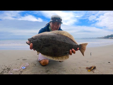 Видео: Ключи к ловле калифорнийского палтуса в прибое