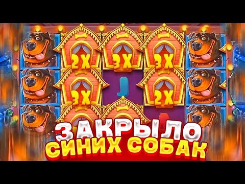 Видео: ПОЙМАЛ ДОРОГУЮ БОНУСКУ ЗА 1.000.000Р И ВЫИГРАЛ *.***.***Р l ЗАНОС THE DOG HOUSE