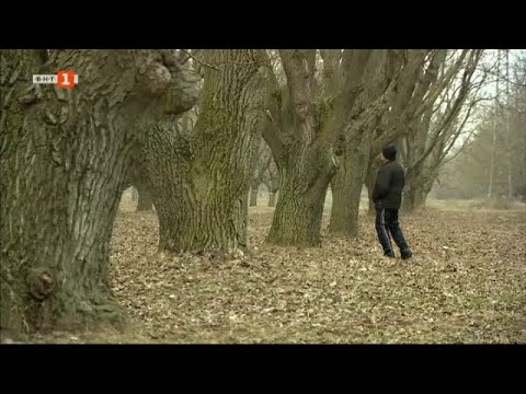 Видео: Историята на село Горно Сахране - "Малки истории", 03.05.2023