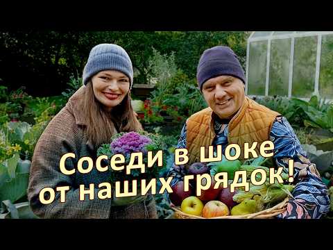 Видео: Не копайте огород осенью! Вот что нужно сделать вместо этого