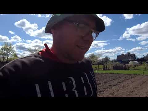 Видео: Посадка картофеля под мотокультиватор бензиновый Fermer FM-811MB