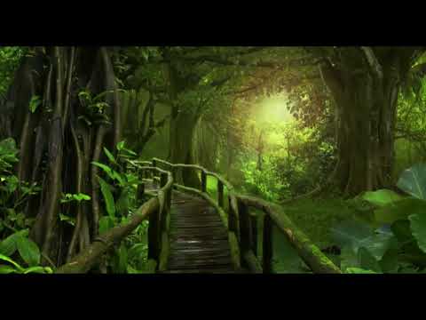 Видео: Как убрать беспокойство. Э. Толле